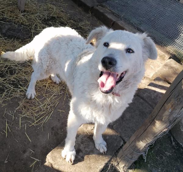 PERLA Foto 4
